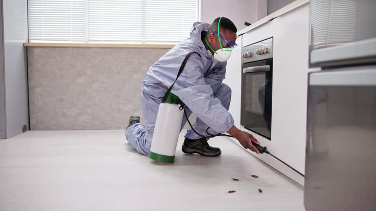 Best Residential Pest Control  in Harrison, WI